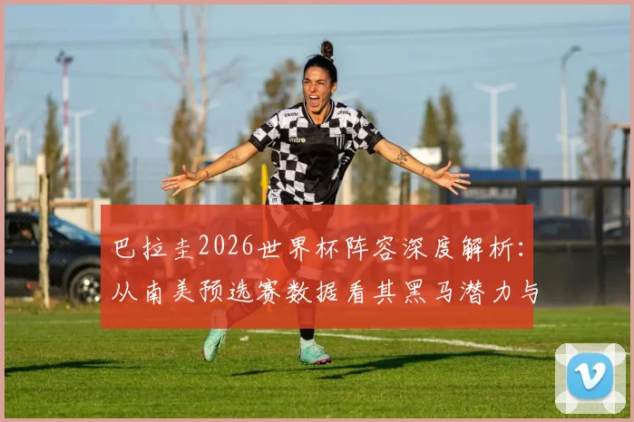 巴拉圭2026世界杯阵容深度解析:从南美预选赛数据看其黑马潜力与青年军战术
