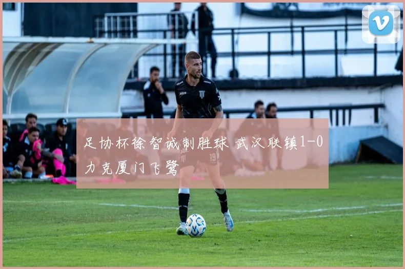 足协杯徐智诚制胜球 武汉联镇1-0力克厦门飞鹭