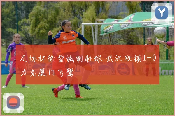 足协杯徐智诚制胜球 武汉联镇1-0力克厦门飞鹭